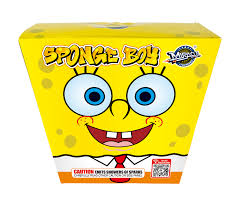 SPONGE BOY