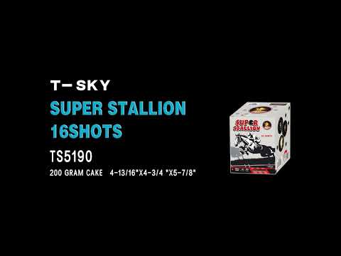 16’S SUPER STALLION