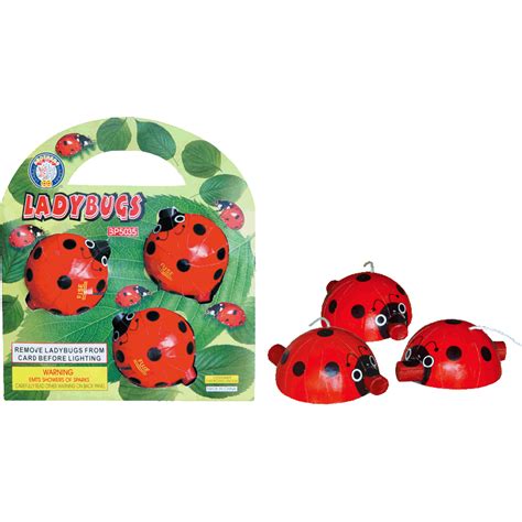 Lady Bugs